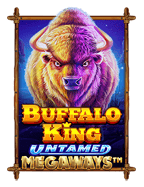 Ninja แตกง่าย: เส้นทางสู่โบนัสมหาเข้มข้น!